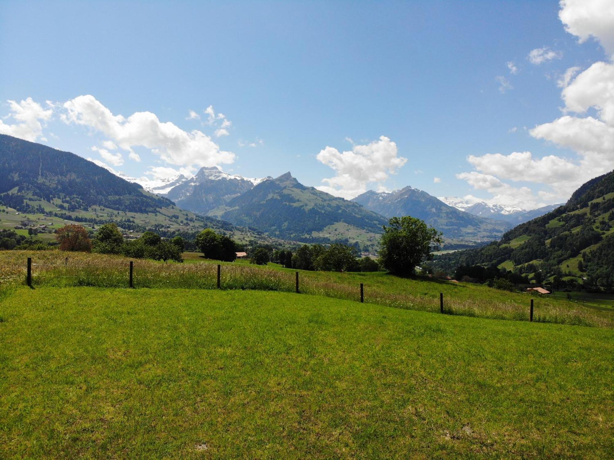 Bergblick - 3 Sterne Garni - Neueroeffnung 3* Aeschi Bei Spiez